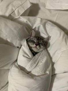 a cat that is laying down in some kind of bedding with it's eyes closed