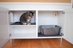 a cat sitting on top of a white shelf next to a trash can and bin