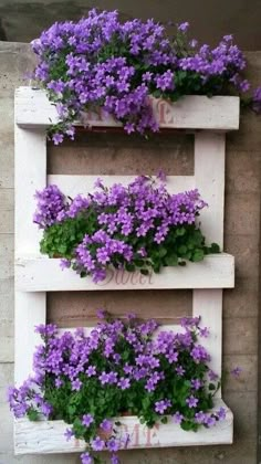 purple flowers are growing on the side of a wall with two wooden crates holding them