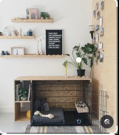 a dog crate in the corner of a room with shelves on the wall and plants