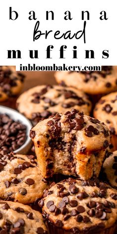 the best banana bread muffins with chocolate chips