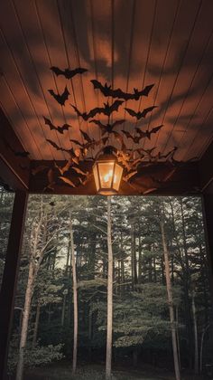 bats are hanging from the ceiling in front of a porch with a light on it