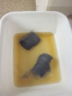 two gray rocks in a white bowl on the counter top with yellow liquid inside it