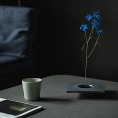 a blue flower sitting on top of a table next to a cup