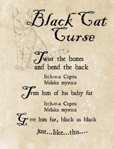 the black cat curse is written on parchment paper