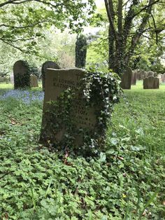 an old grave surrounded by green plants and bluebells in the background, with headstones all around it