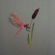 a red dragonfly sitting on top of a green plant next to a brown flower