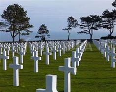 rows of white crosses in a grassy field with trees on the far side and ocean in the background