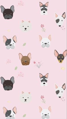 a pink background with dogs and flowers on it