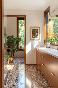 a bathroom with wood cabinets and marble counter tops, along with a large plant in the corner