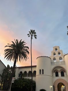 palm trees are in front of a large white building