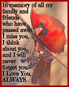 Cardinal Sayings, Miss You Mom Quotes, Missing Mom, Healing Verses, Miss Mom, Missing My Son