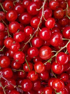 red cherries are piled together on the table