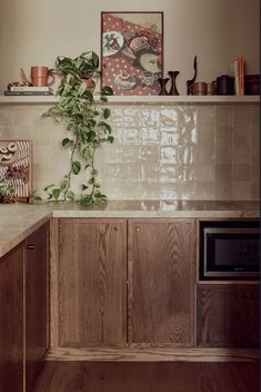 a kitchen with wooden cabinets and plants on the counter