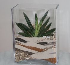 a glass vase filled with sand and plants