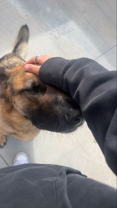 a dog is being petted by someone's hand on the floor in front of him