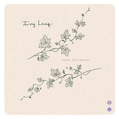 Ivy Line Tattoo, Fine Vine Tattoo, Tattoo Ivy Vine, Vines Around Words Tattoo, Leaf Vine Drawing Tattoo, Ivy Tattoo Fine Line, Vine Tattoo With Words, Tiny Ivy Tattoo