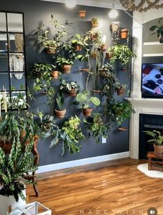 Indoor Plant Wall, Cool Room Decor, Room With Plants, House Plants Indoor, Living Wall, Plant Wall