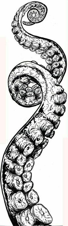 an image of a spiral design made out of cookies and doughnuts, vintage line drawing or engraving illustration