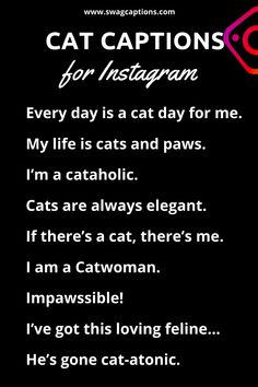 cat captions for instagrams on black background with text overlaying the image