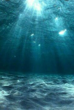 an underwater view of the ocean floor with sunlight shining through the water's surface