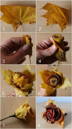 step by step instructions on how to make a paper rose with leaves and flowers in it