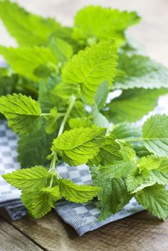 fresh mint leaves are on a blue and white checkered napkin