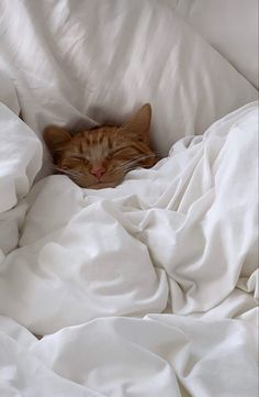 an orange cat sleeping on top of a white comforter covered in sheets and blankets