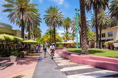 people are riding bicycles down the sidewalk in front of palm trees and shops on a sunny day