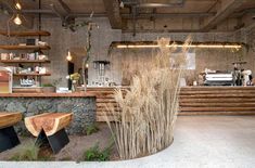 the interior of a coffee shop with wooden benches and plants on display in front of it