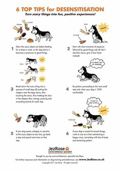 a poster with instructions on how to use dogs