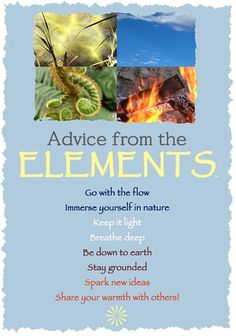 an advertisement with the words advice from the elements and pictures of fire, grass, leaves, and insects