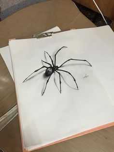 a drawing of a black widow spider on white paper