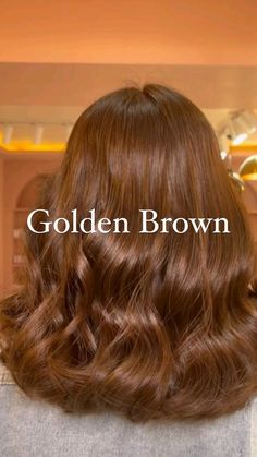 Golden Hair Color Honey, Golden Brown Hair Honey, Honey Brown Hair Color, Cabello Hair, Brown Hair Looks