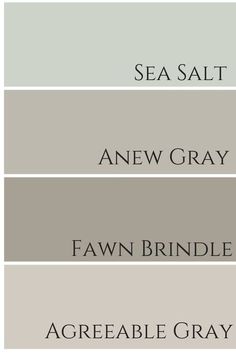 four shades of gray paint with the words sea salt, anew gray, fawn brindle and agreeable gray