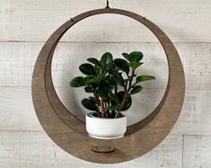 a potted plant in a wooden circle hanging on the wall with a white cup