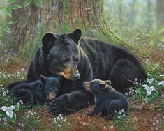 an adult bear and two baby bears in the grass next to a tree with purple flowers