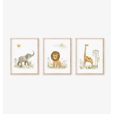 three framed pictures of animals and giraffes