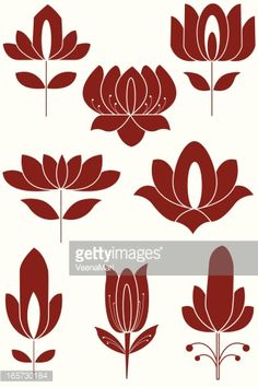 red flowers on white background stock photo, a picture of a red flowers on white background by