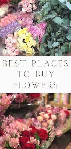 the best places to buy flowers in san francisco