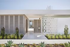 the entrance to a modern home with cactus and succulents in the foreground