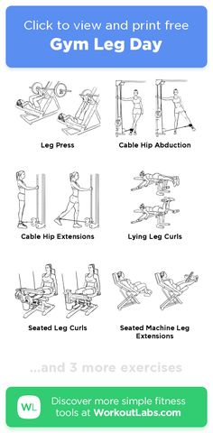 View the Gym Leg Day workout with easy-to-follow exercise illustrations and download as printable PDF. Created with WorkoutLabs Fit workout builder. Good Leg Day Workouts, Leg Excersizes Gym, Workouts Legs Gym, Woman Leg Workout Gym, Beginner Legs Workout Gym, Legs And Back Workout Gym, Leg And Abs Workout Gym, Leg Day Woman Gym