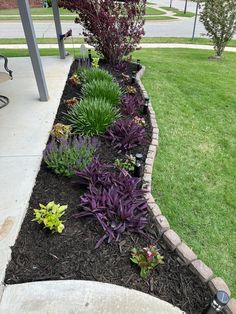 a garden with purple flowers and green plants in the ground next to a sidewalk on a sunny day