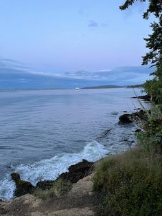 a bench sitting on the edge of a cliff overlooking the ocean and trees in the foreground