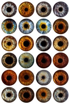 an image of many different colored eyes