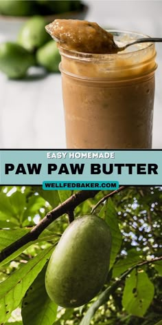 a jar filled with peanut butter sitting on top of a tree next to green leaves