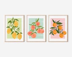 three framed art prints with oranges on them