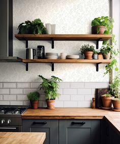 some potted plants are sitting on shelves in the kitchen