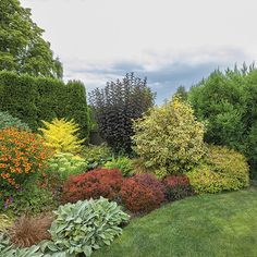 a garden filled with lots of different types of flowers and plants on top of green grass