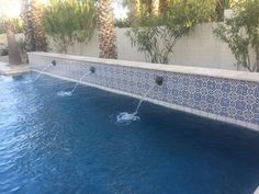 an outdoor swimming pool with blue tile and palm trees in the backround area